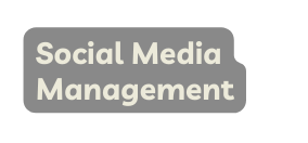 Social Media Management